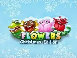 Flowers Christmas Edition DNT