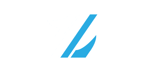 Visa partner logo